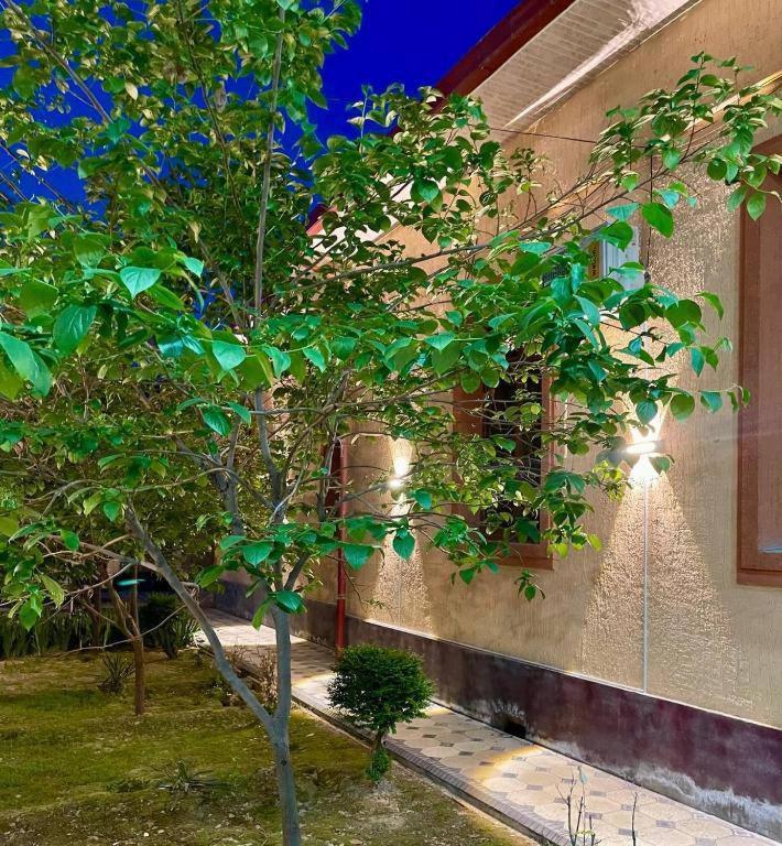 Amor Fati Hotel ทาชเคนต์ ภายนอก รูปภาพ